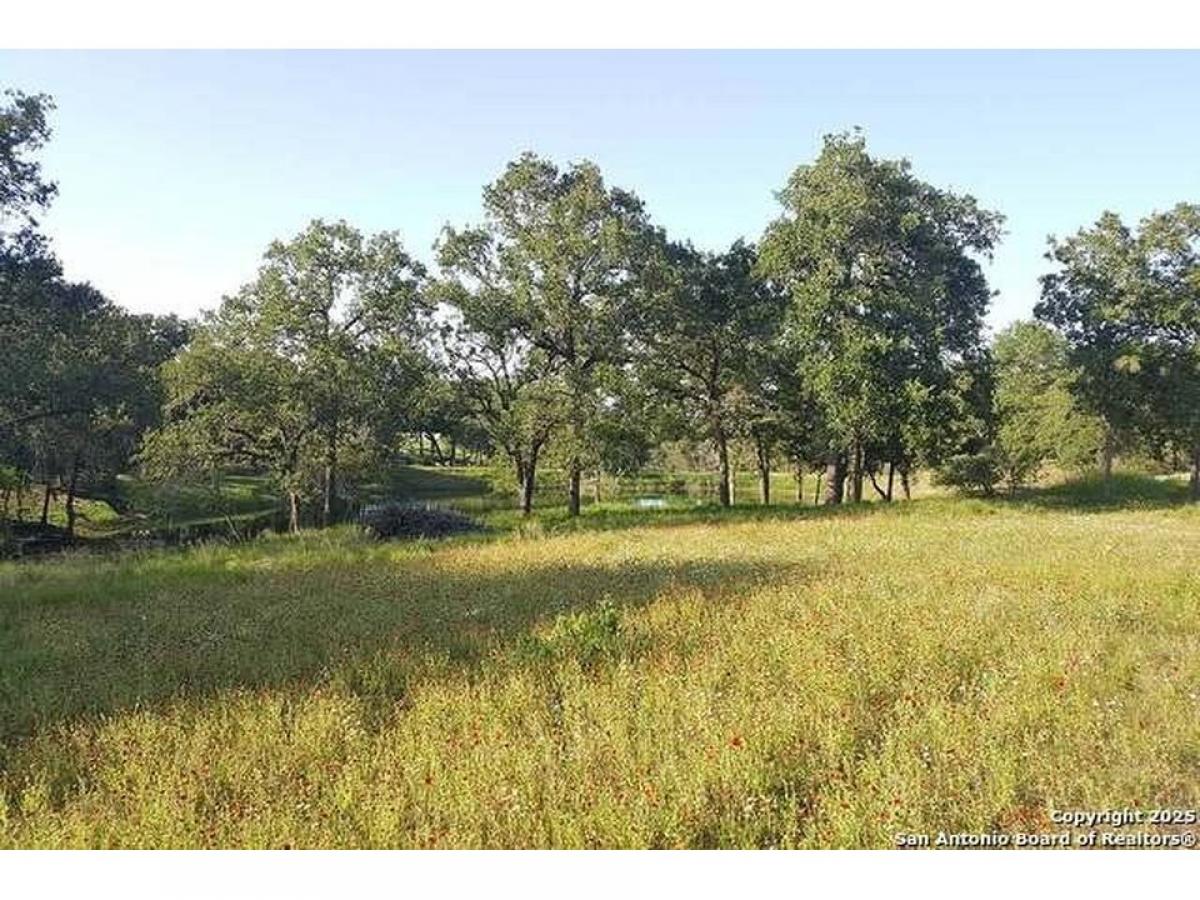 Picture of Residential Land For Sale in La Vernia, Texas, United States