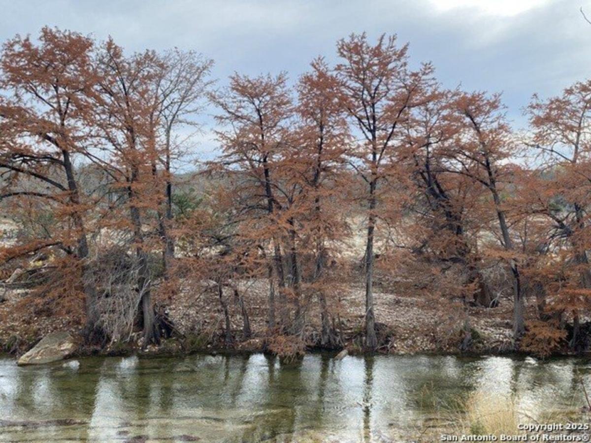 Picture of Home For Sale in Center Point, Texas, United States
