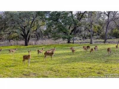 Farm For Sale in Boerne, Texas