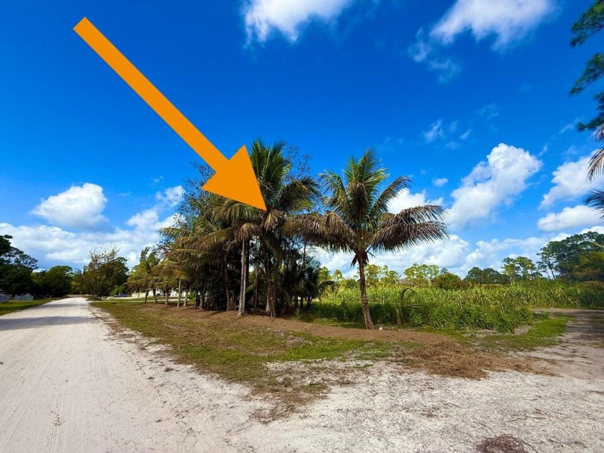 Picture of Residential Land For Sale in The Acreage, Florida, United States