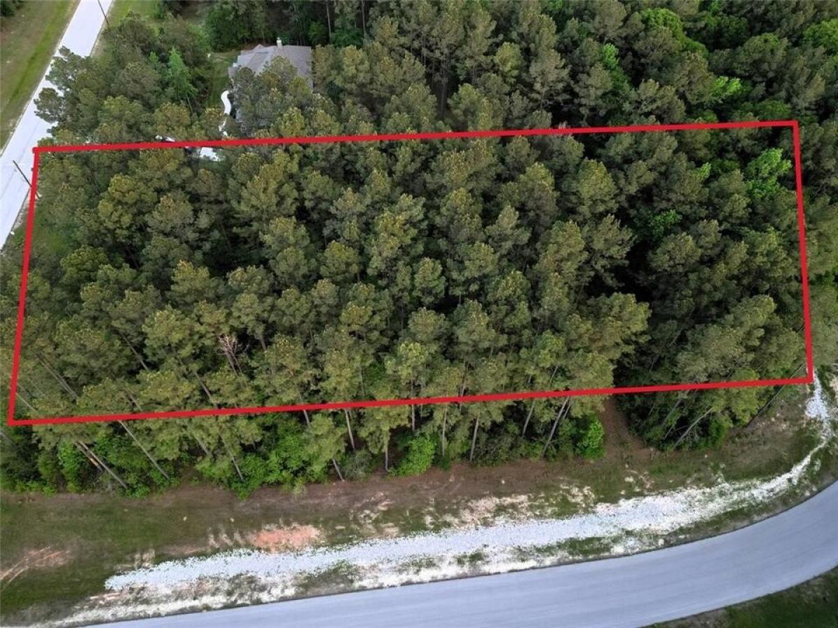 Picture of Residential Land For Sale in Huntsville, Texas, United States