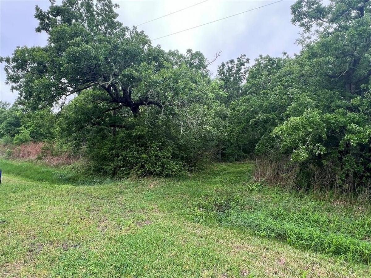 Picture of Residential Land For Sale in Anahuac, Texas, United States