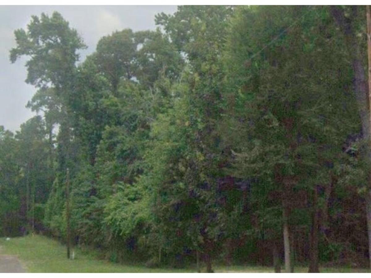 Picture of Residential Land For Sale in Livingston, Texas, United States