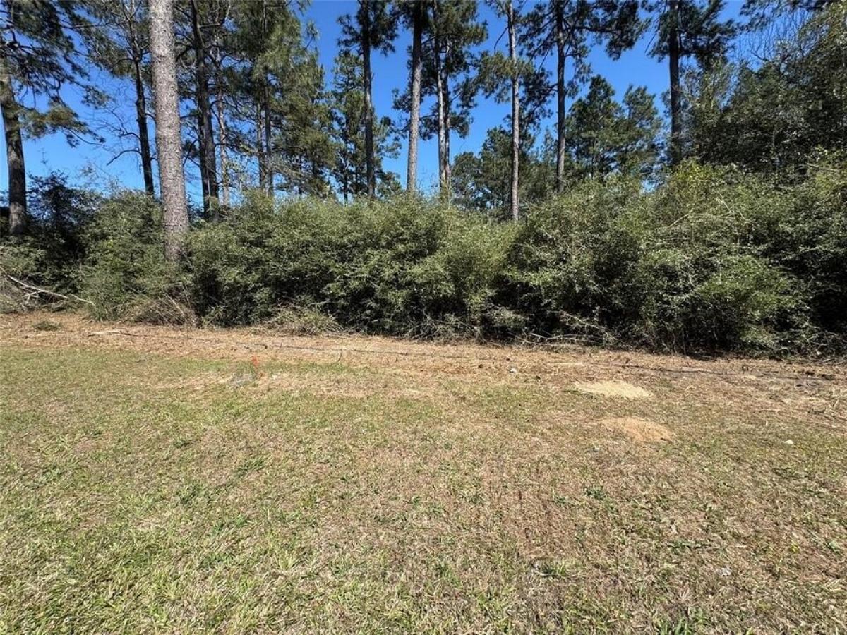 Picture of Residential Land For Sale in Onalaska, Texas, United States