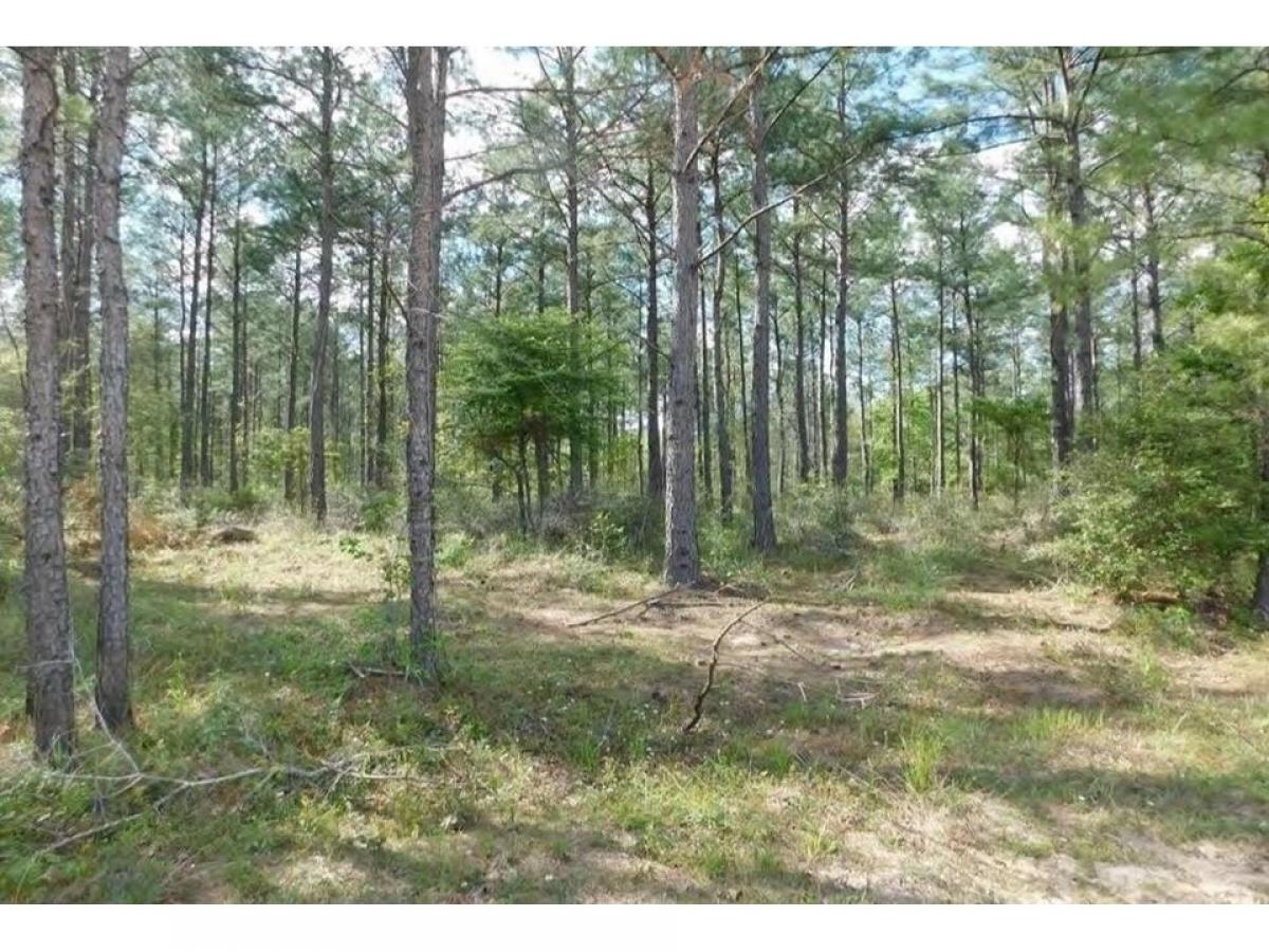 Picture of Residential Land For Sale in Huntington, Texas, United States