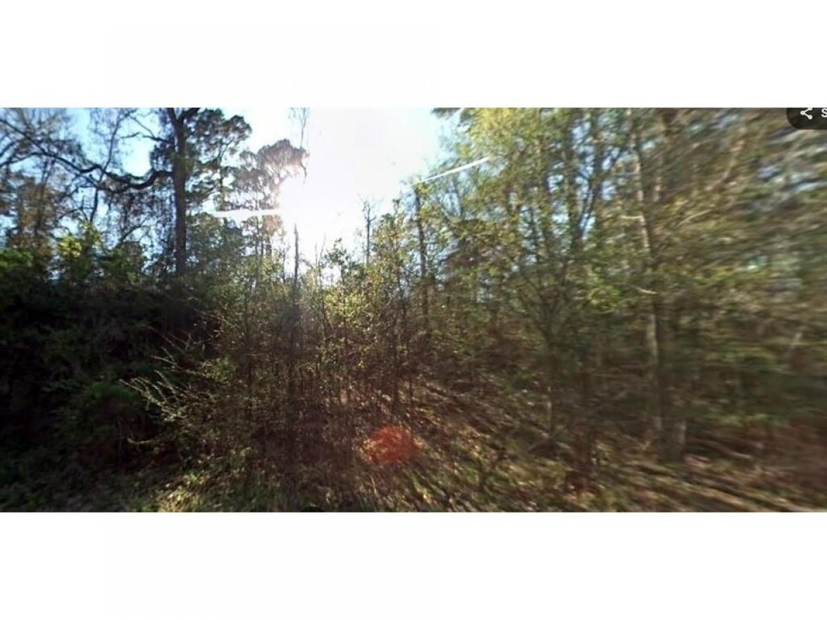 Picture of Residential Land For Sale in Livingston, Texas, United States