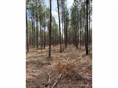 Residential Land For Sale in Huntington, Texas