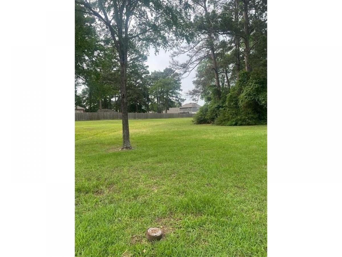 Picture of Residential Land For Sale in Willis, Texas, United States