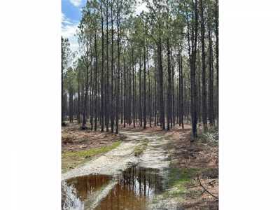 Residential Land For Sale in Huntington, Texas