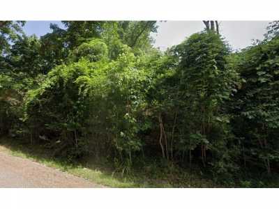 Residential Land For Sale in Livingston, Texas