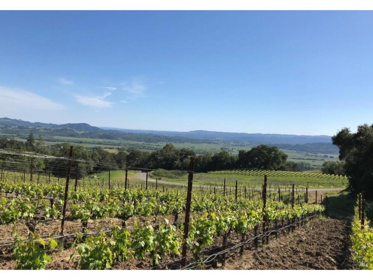 Picture of Residential Land For Sale in Geyserville, California, United States