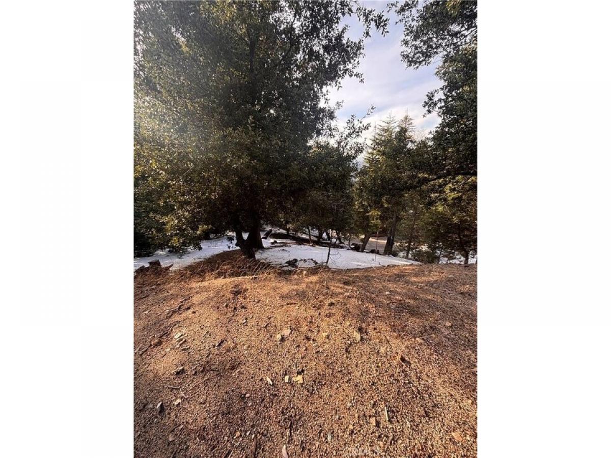 Picture of Residential Land For Sale in Twin Peaks, California, United States