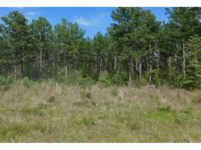Residential Land For Sale in Huntington, Texas