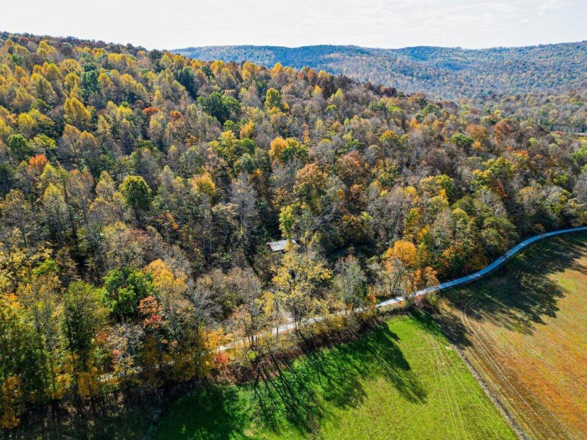 Picture of Residential Land For Sale in Mcminnville, Tennessee, United States