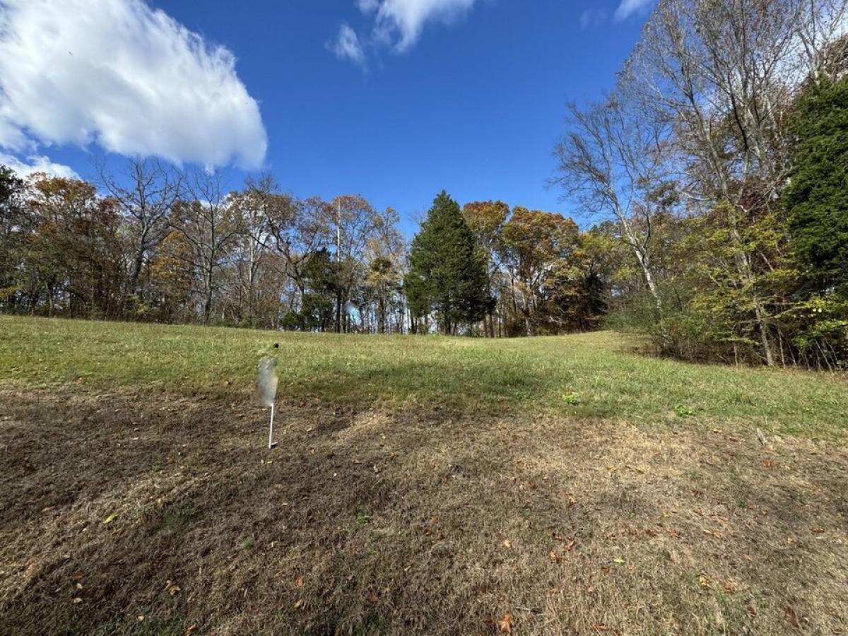 Picture of Residential Land For Sale in Decatur, Tennessee, United States