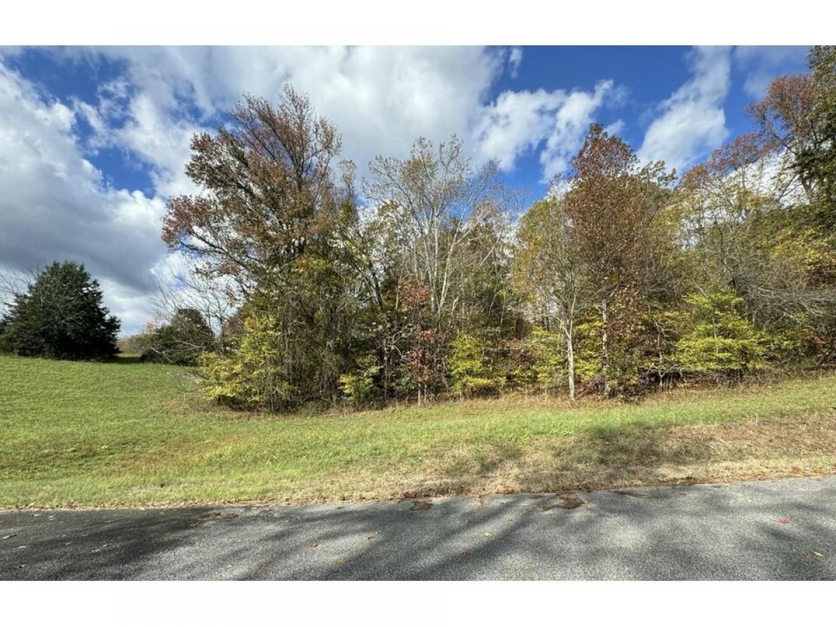 Picture of Residential Land For Sale in Decatur, Tennessee, United States