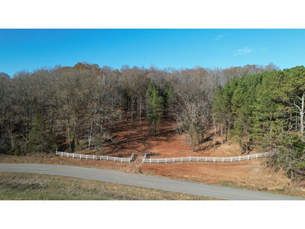 Picture of Residential Land For Sale in Decatur, Tennessee, United States