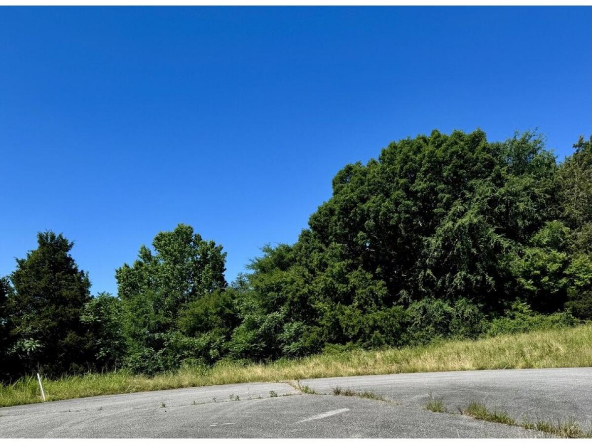 Picture of Residential Land For Sale in Decatur, Tennessee, United States