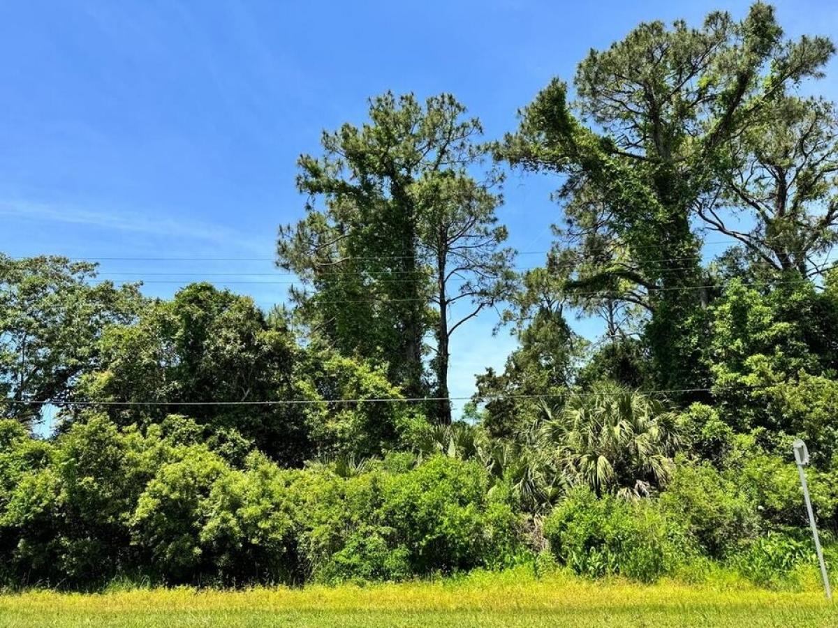 Picture of Residential Land For Sale in Carrabelle, Florida, United States