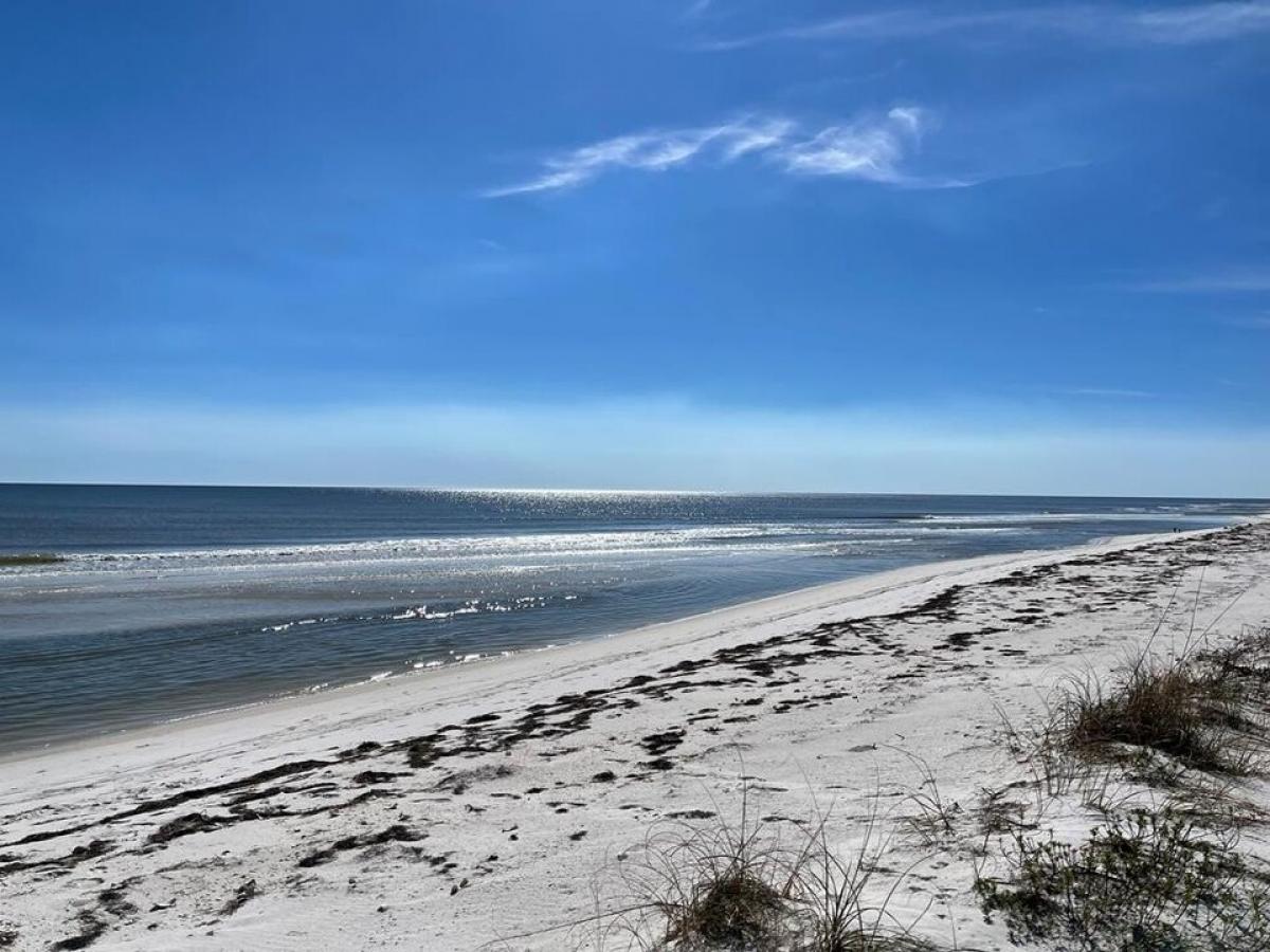Picture of Residential Land For Sale in Carrabelle, Florida, United States