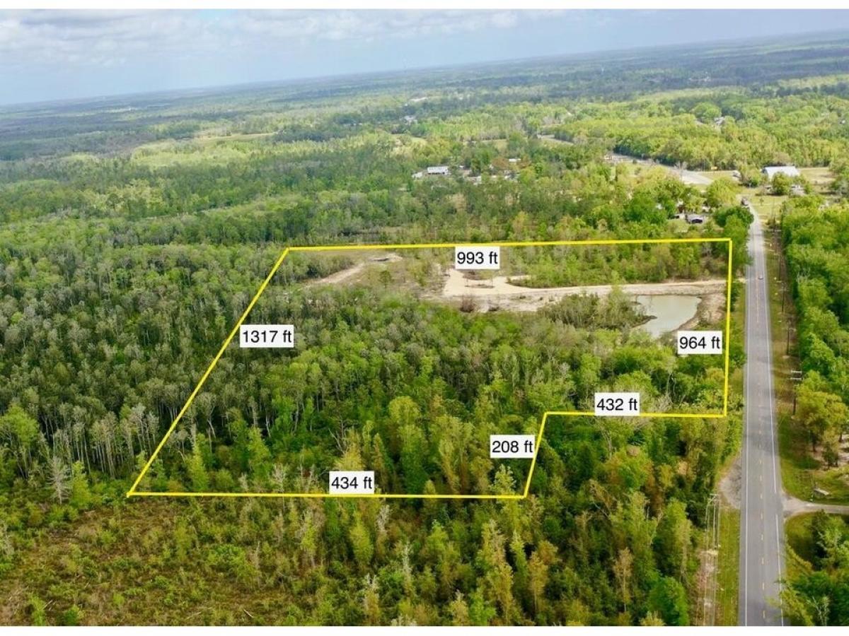 Picture of Residential Land For Sale in Wewahitchka, Florida, United States