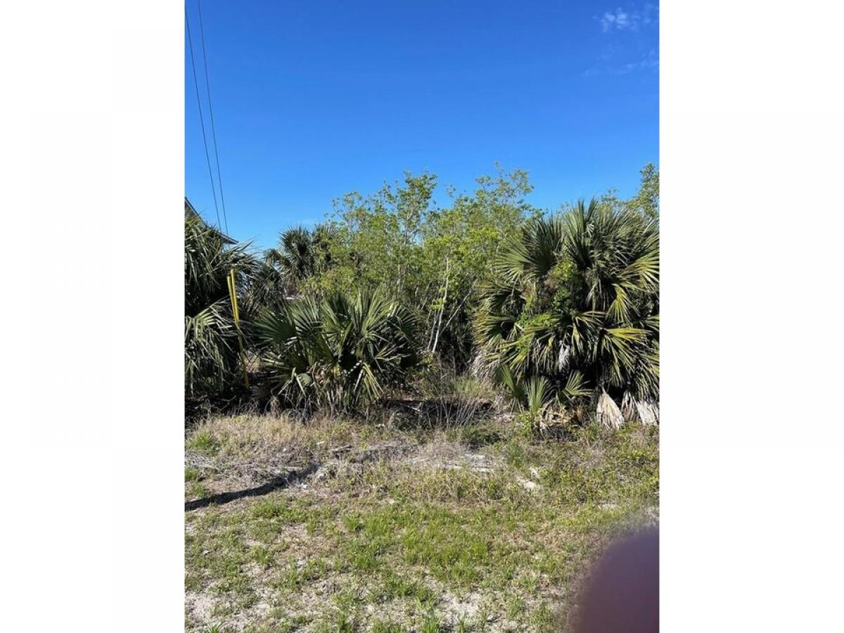 Picture of Residential Land For Sale in Port Saint Joe, Florida, United States