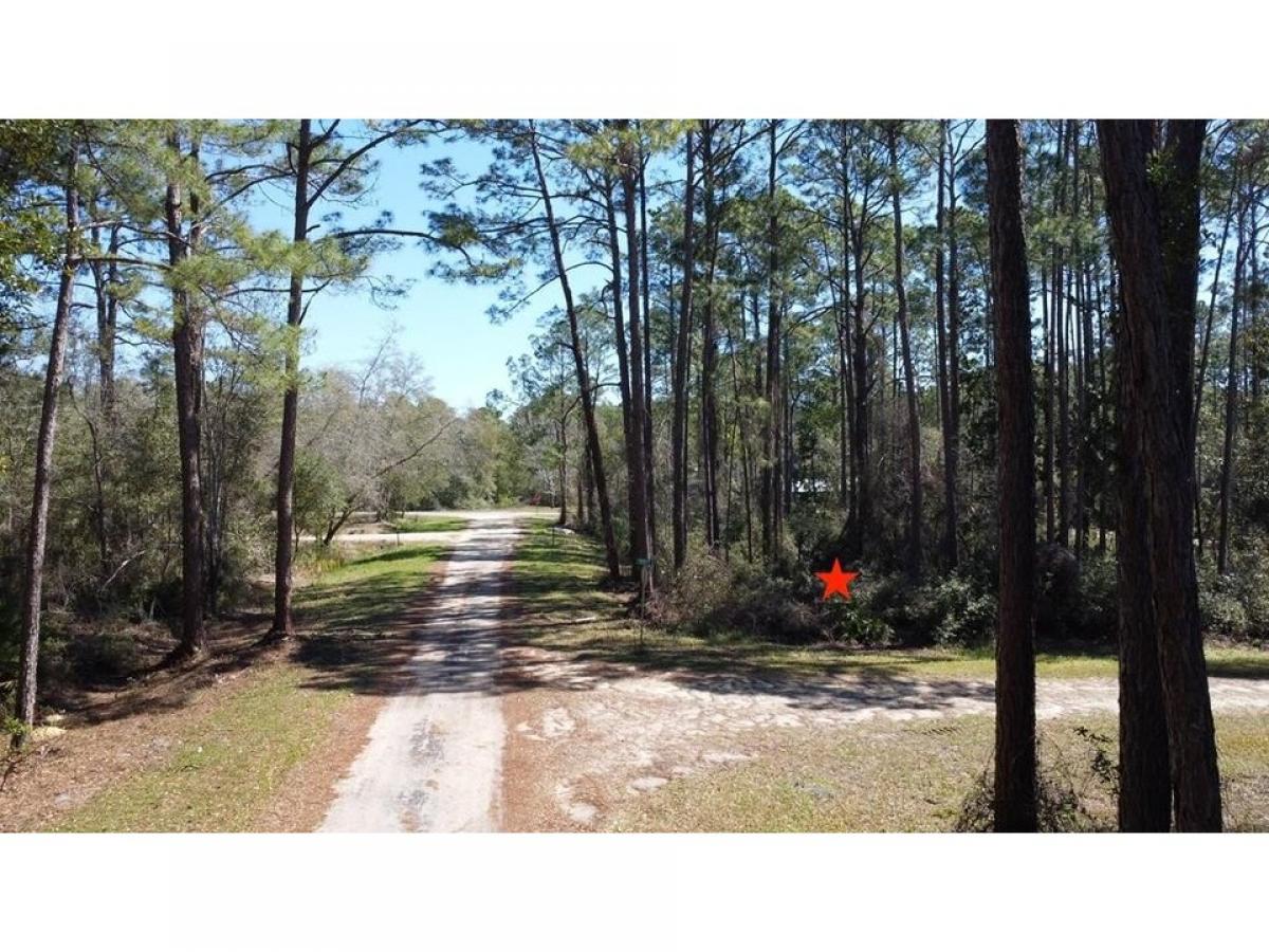 Picture of Residential Land For Sale in Carrabelle, Florida, United States