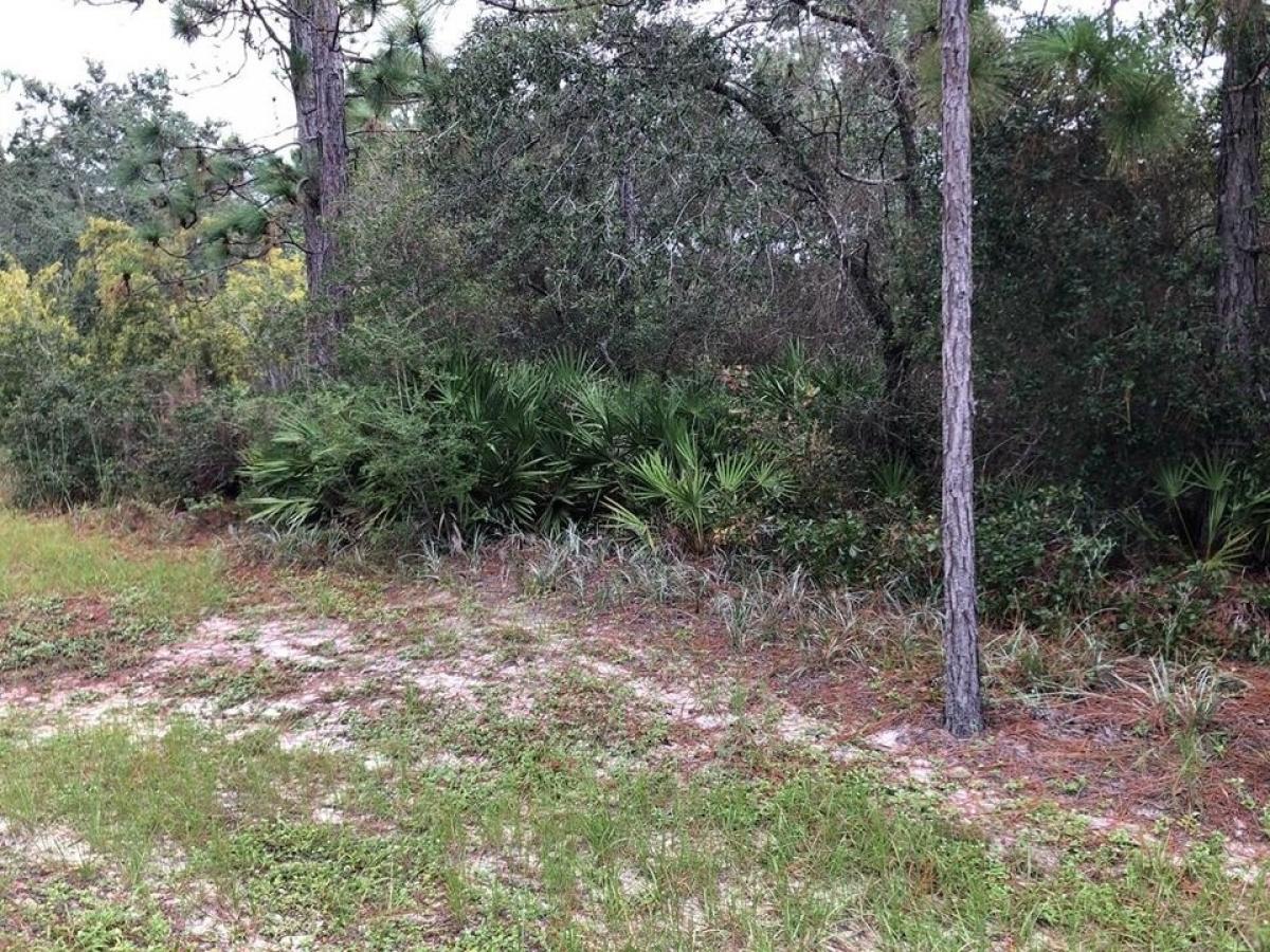 Picture of Residential Land For Sale in Carrabelle, Florida, United States