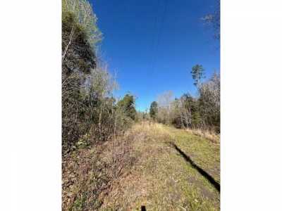 Residential Land For Sale in Wewahitchka, Florida