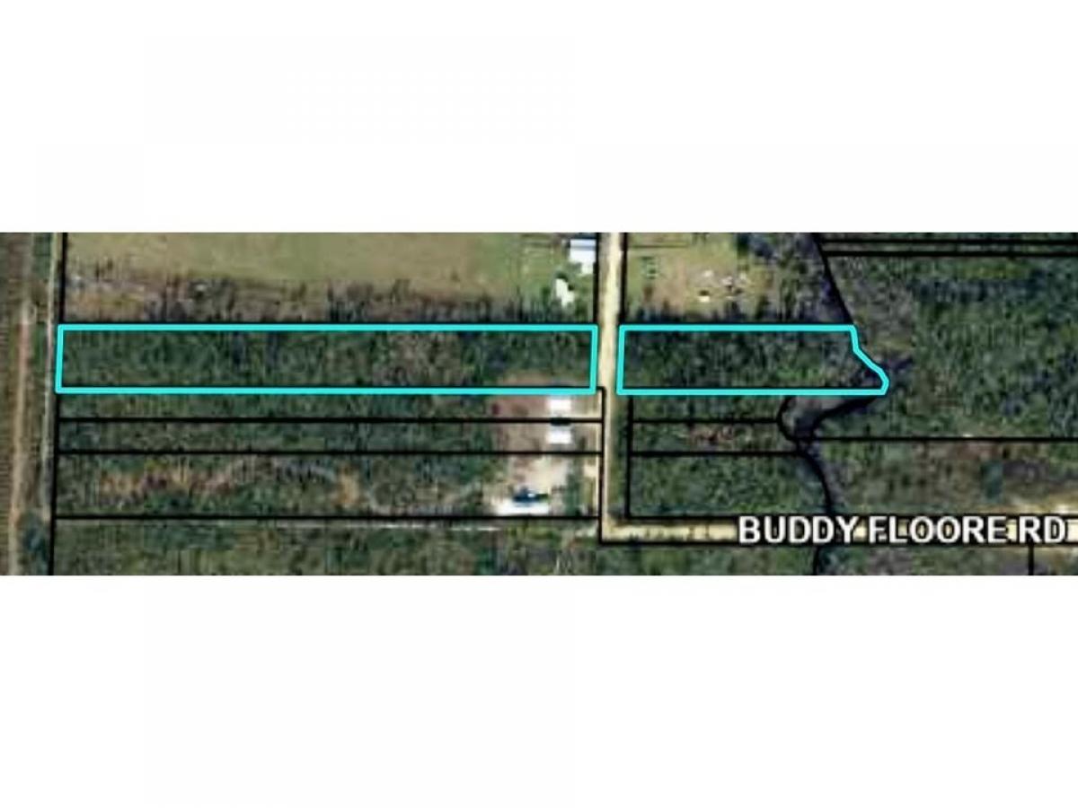 Picture of Residential Land For Sale in Wewahitchka, Florida, United States