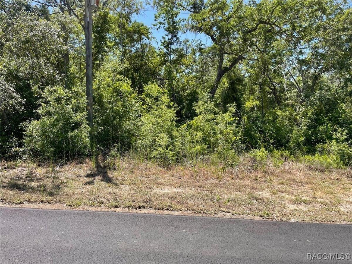 Picture of Residential Land For Sale in Lecanto, Florida, United States
