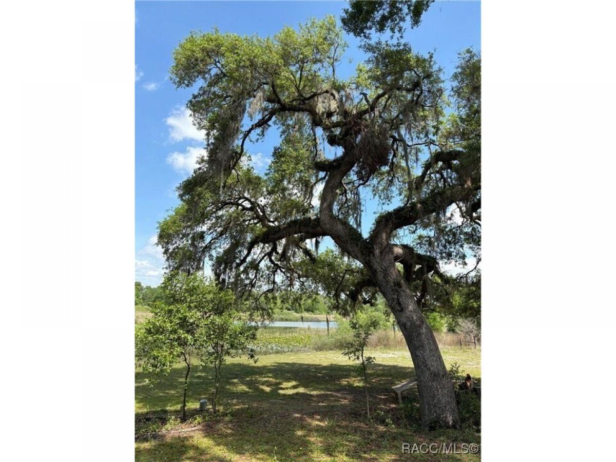 Picture of Residential Land For Sale in Floral City, Florida, United States