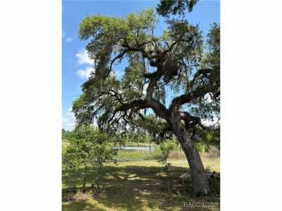 Residential Land For Sale in Floral City, Florida