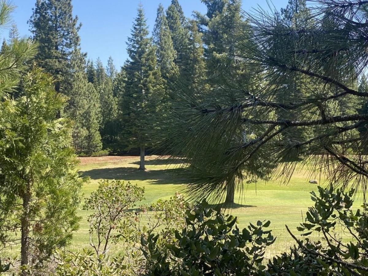 Picture of Residential Land For Sale in Lake Almanor, California, United States