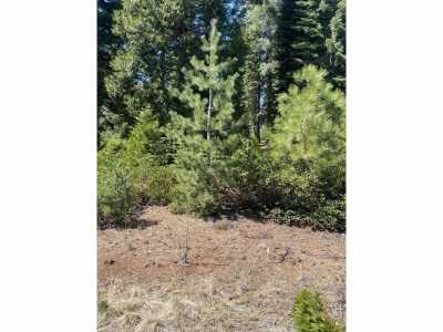 Residential Land For Sale in Lake Almanor, California
