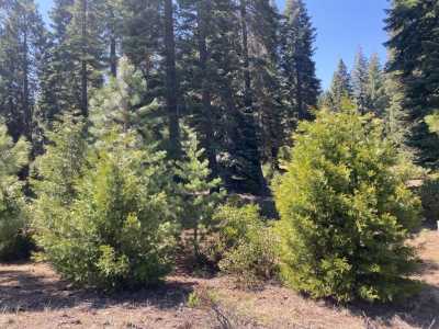 Residential Land For Sale in Lake Almanor, California