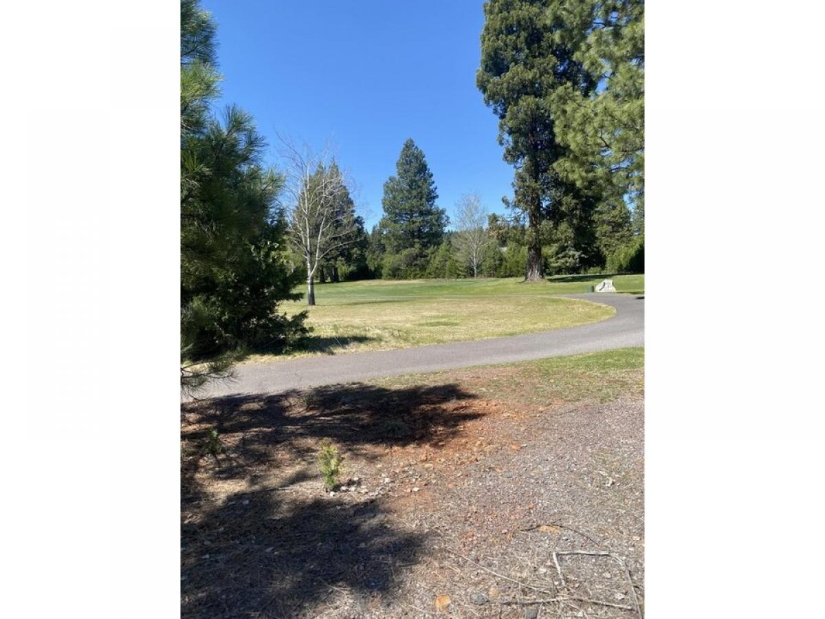 Picture of Residential Land For Sale in Lake Almanor, California, United States