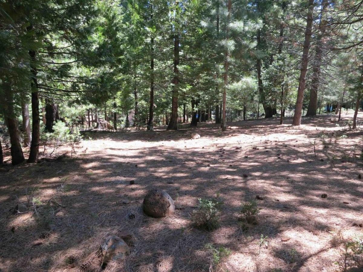 Picture of Residential Land For Sale in Lake Almanor, California, United States