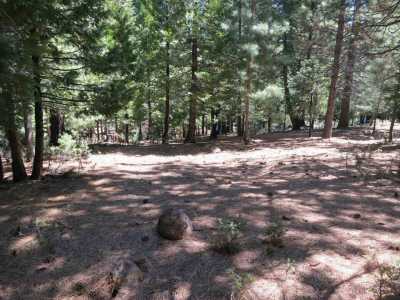 Residential Land For Sale in Lake Almanor, California