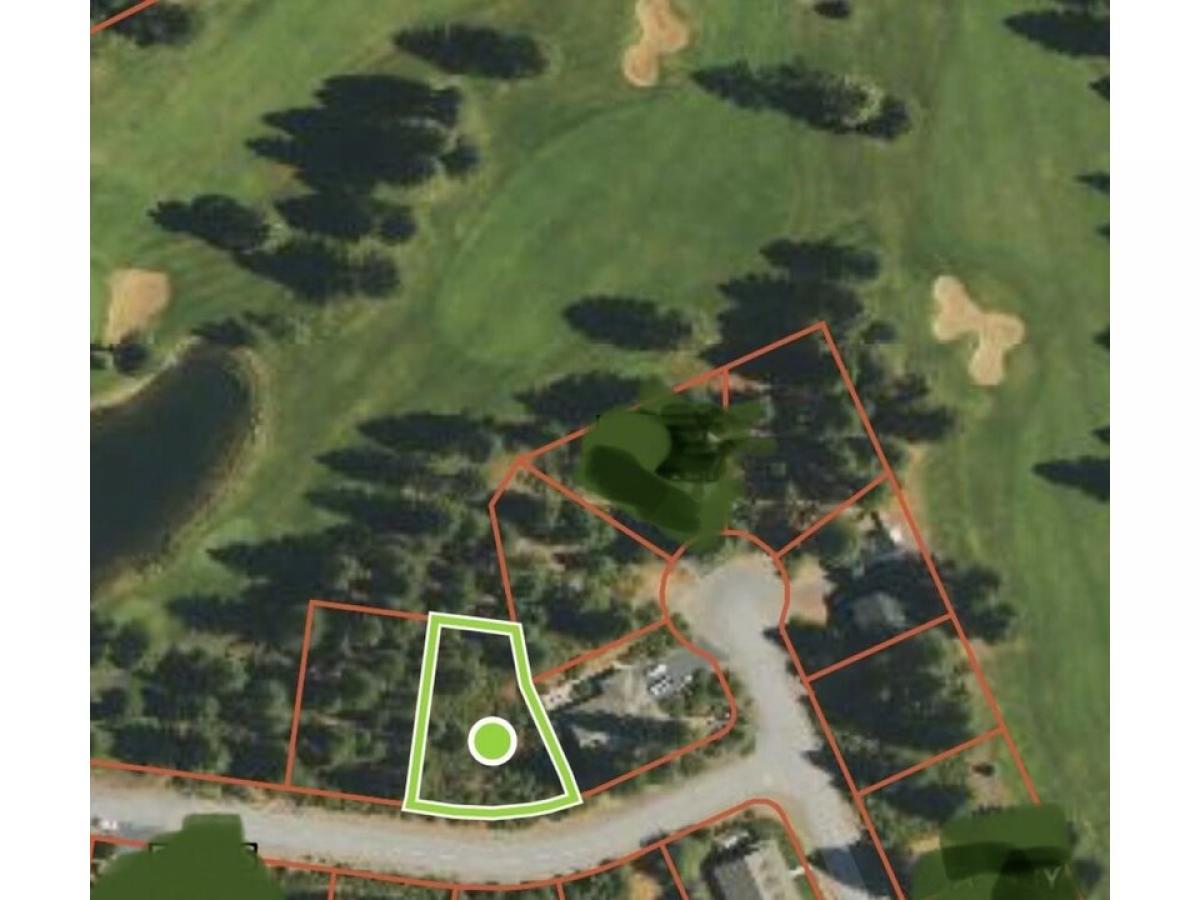 Picture of Residential Land For Sale in Lake Almanor, California, United States