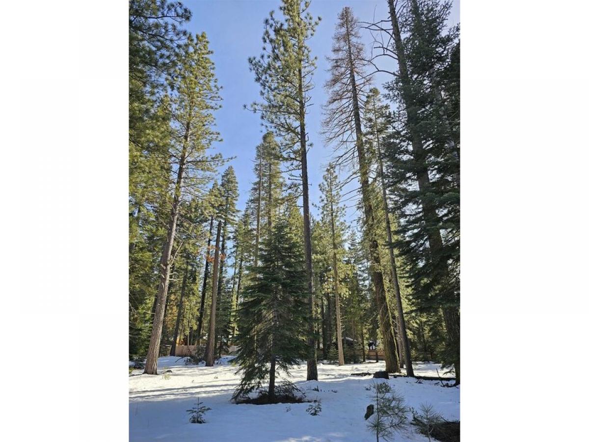 Picture of Home For Sale in Clear Creek, California, United States