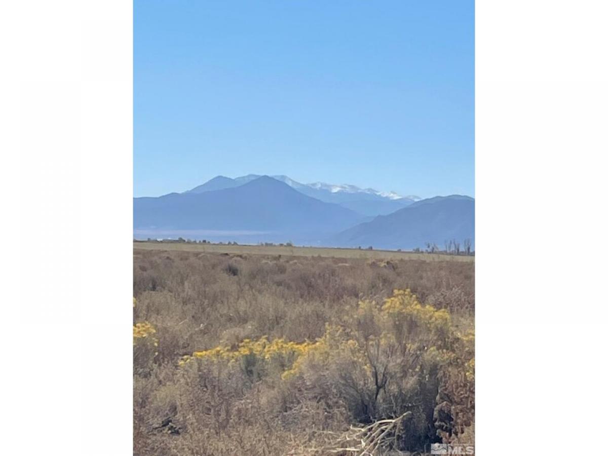 Picture of Residential Land For Sale in Smith, Nevada, United States