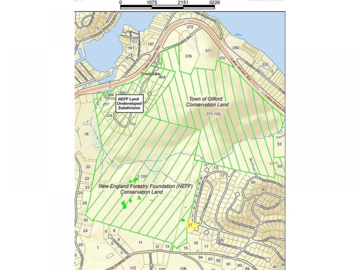 Picture of Residential Land For Sale in Gilford, New Hampshire, United States