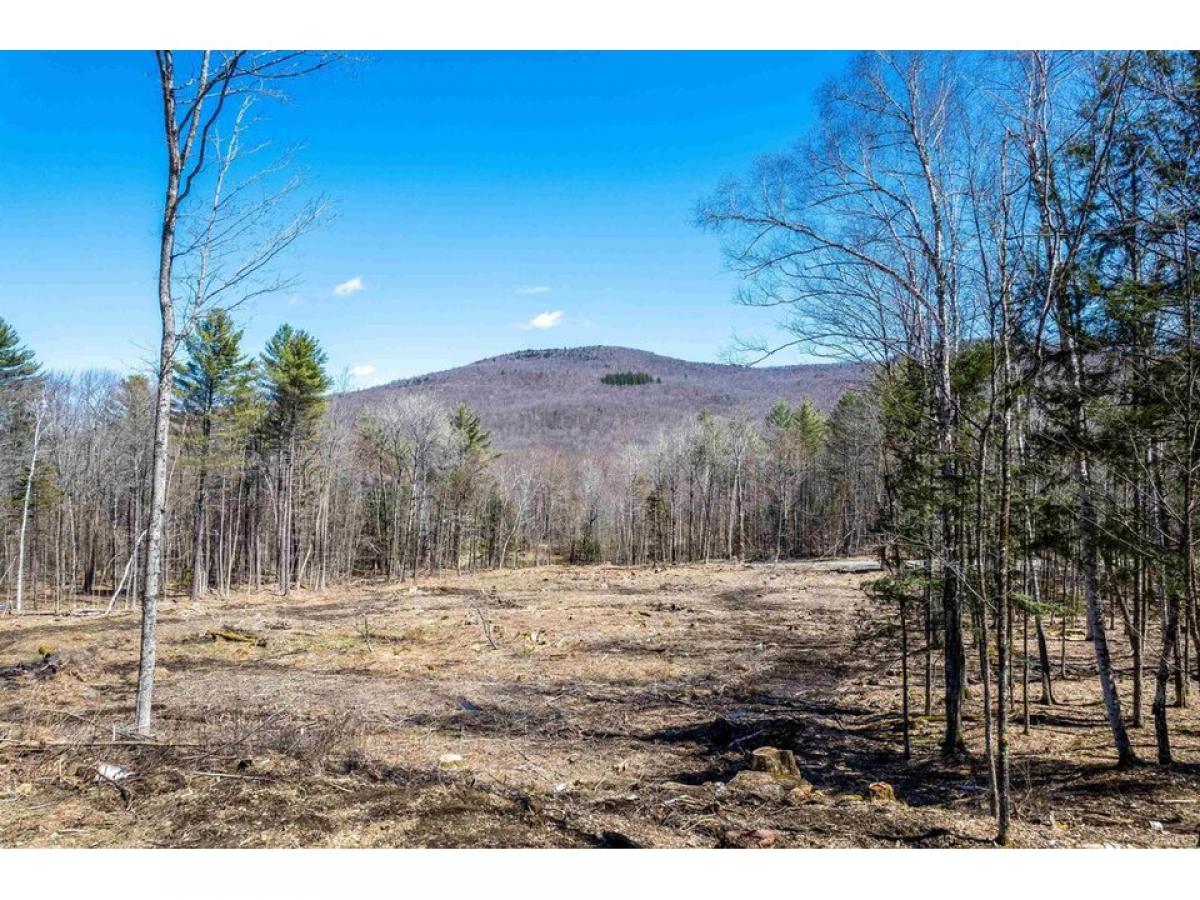 Picture of Residential Land For Sale in Woodstock, Vermont, United States