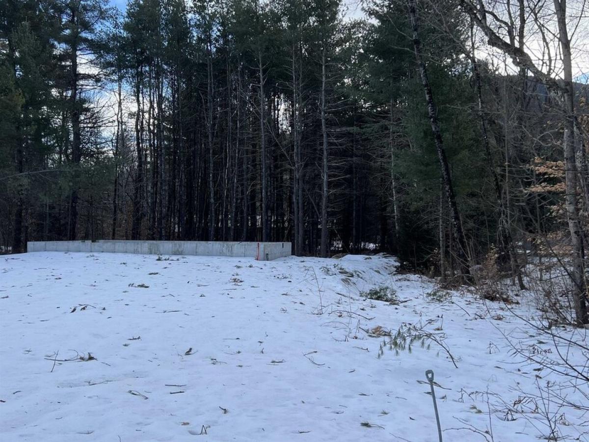 Picture of Residential Land For Sale in Tamworth, New Hampshire, United States