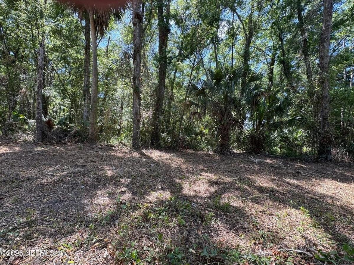 Picture of Residential Land For Sale in Satsuma, Florida, United States