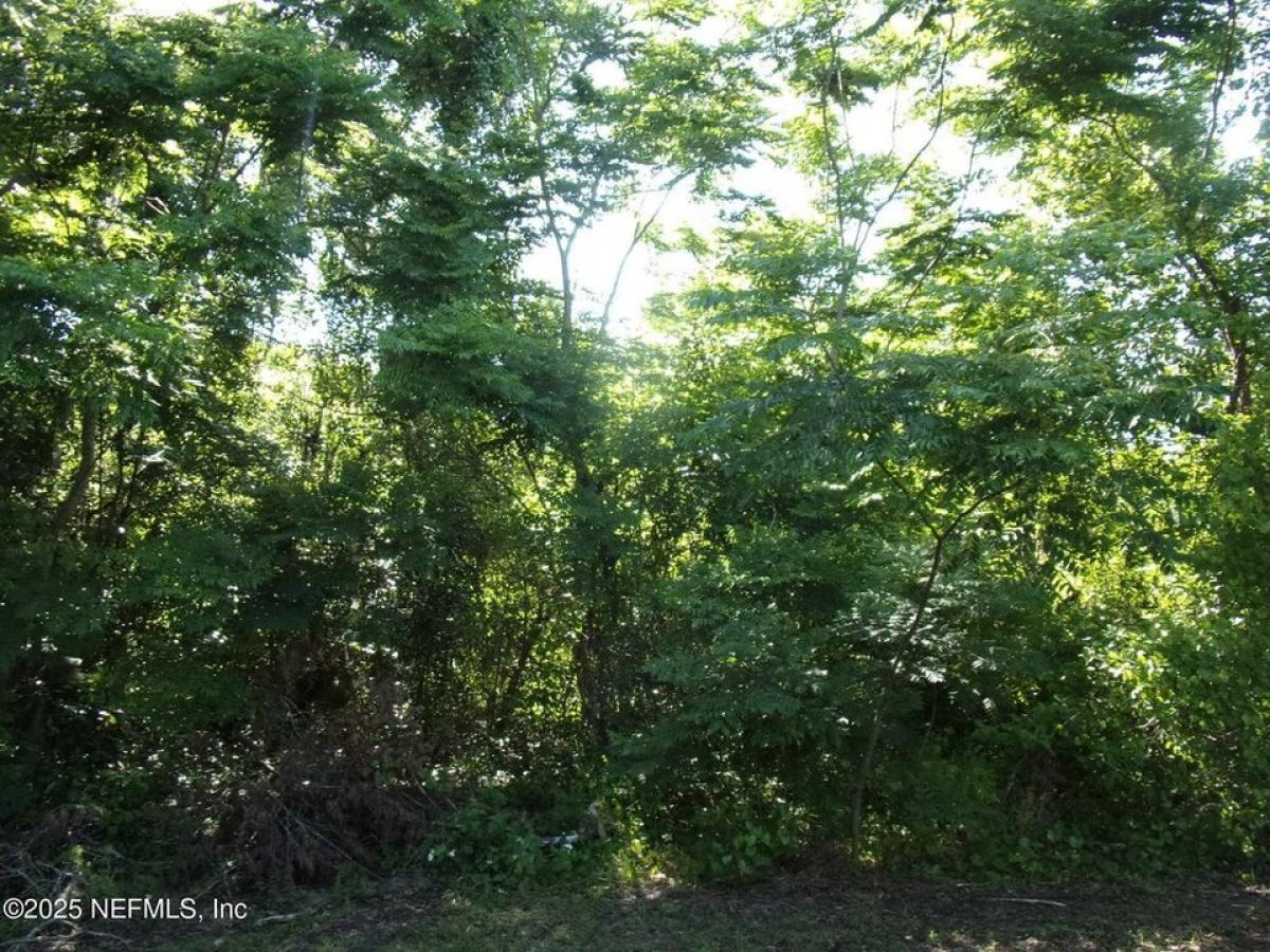 Picture of Residential Land For Sale in Palatka, Florida, United States