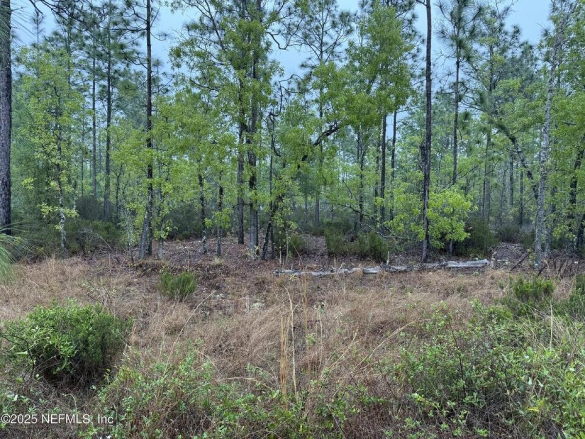 Picture of Residential Land For Rent in Interlachen, Florida, United States