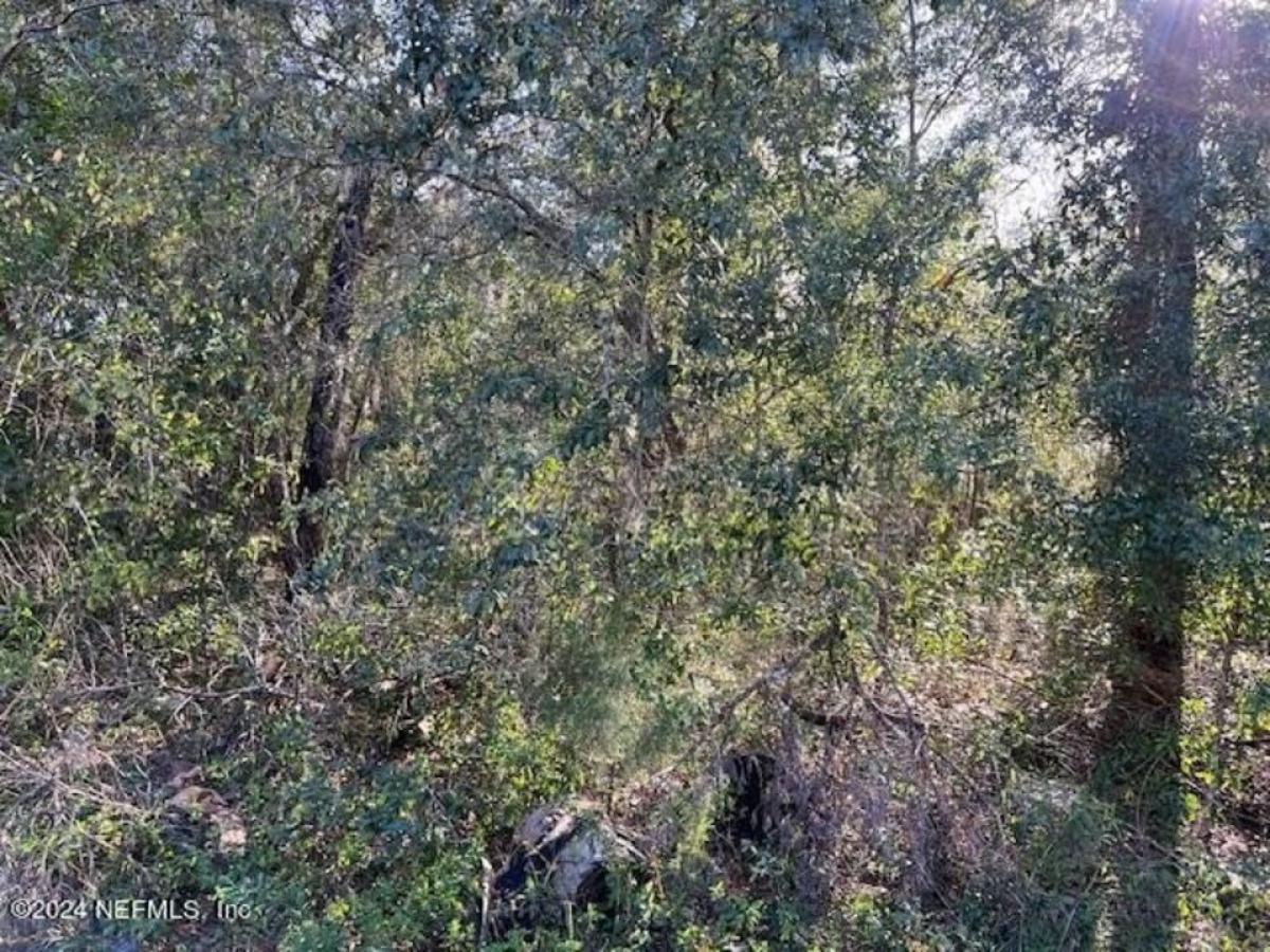 Picture of Residential Land For Rent in Hawthorne, Florida, United States