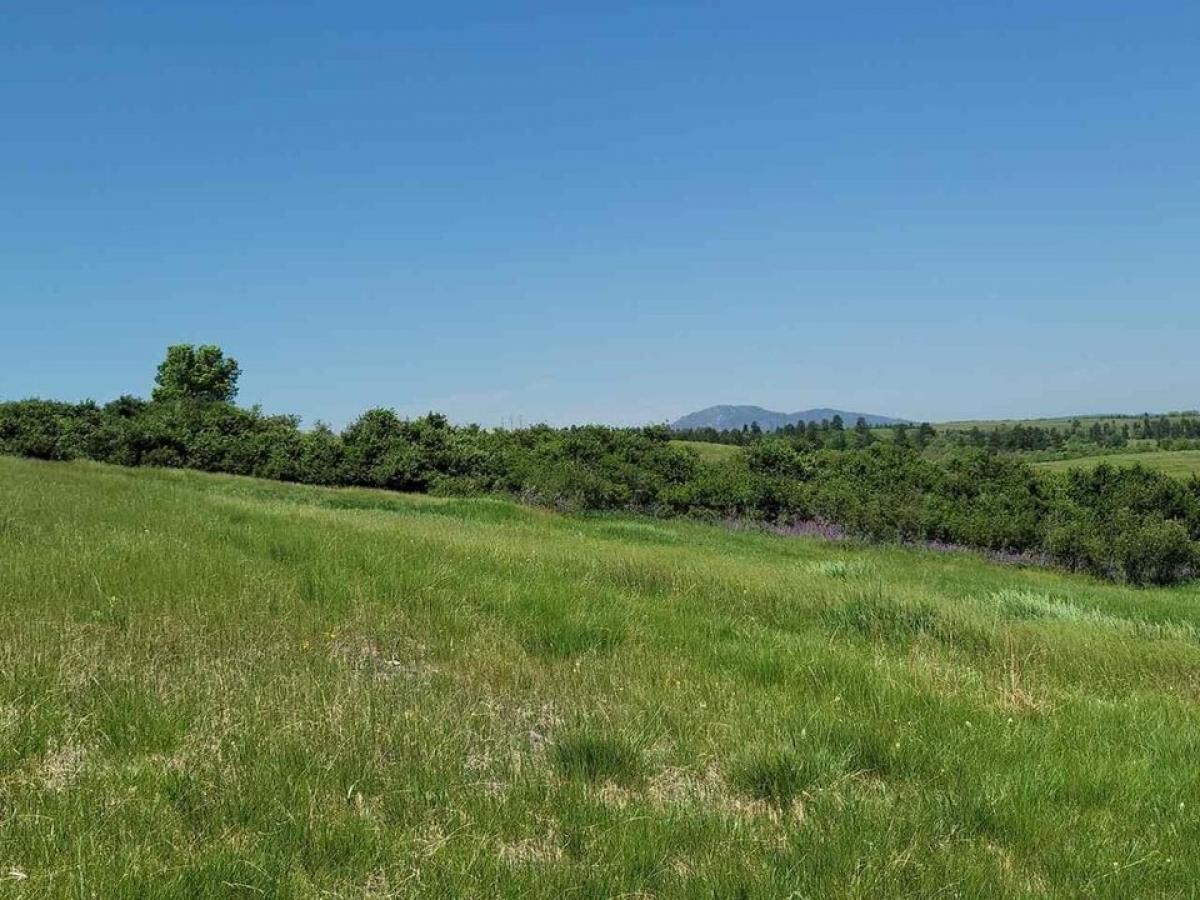 Picture of Residential Land For Sale in Spearfish, South Dakota, United States
